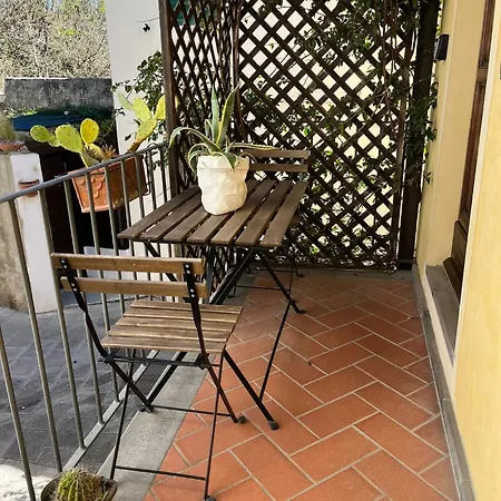 Il Grillo