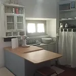 Casa vacanze Il Grillo Rosignano Marittimo