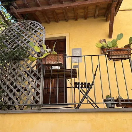 Il Grillo